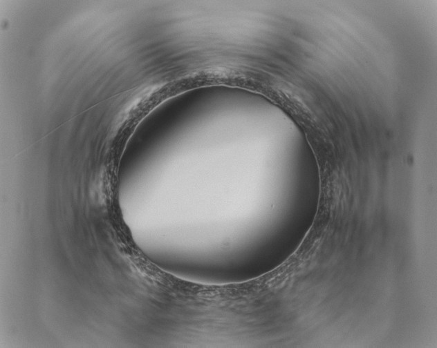 X0000089930776200706291157