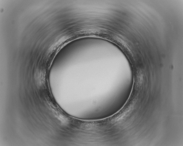 X0000089930778200706291157