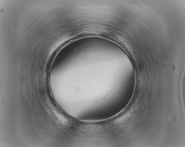 X0000089930779200706291156