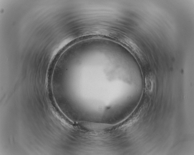 X0000089930780200706291156