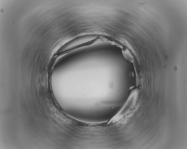 X0000089930781200706291156