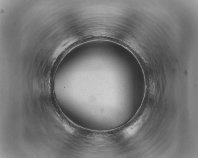 X0000089930782200706291156