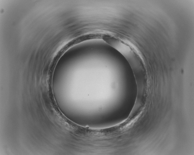 X0000089930783200706291156