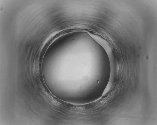 X0000089930784200706291156