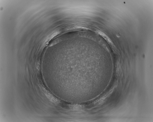 X0000089930785200706291156