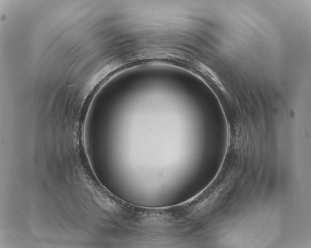 X0000089930786200706291156