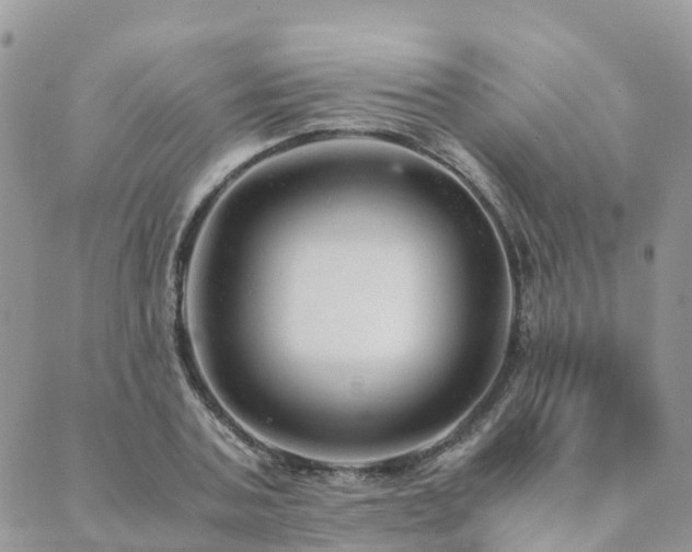 X0000089930787200706291156