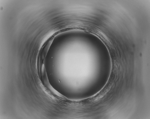 X0000089930788200706291156