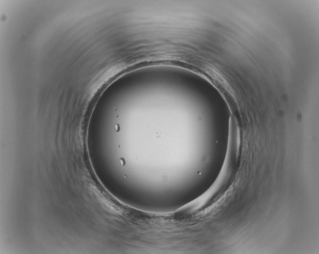 X0000089930789200706291156