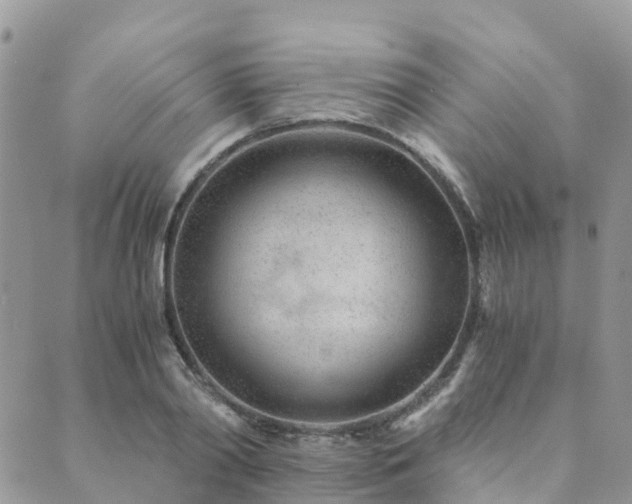 X0000089930790200706291156