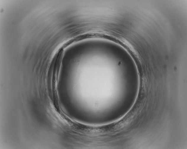 X0000089930791200706291156