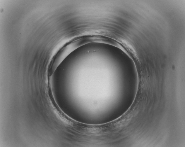 X0000089930792200706291156