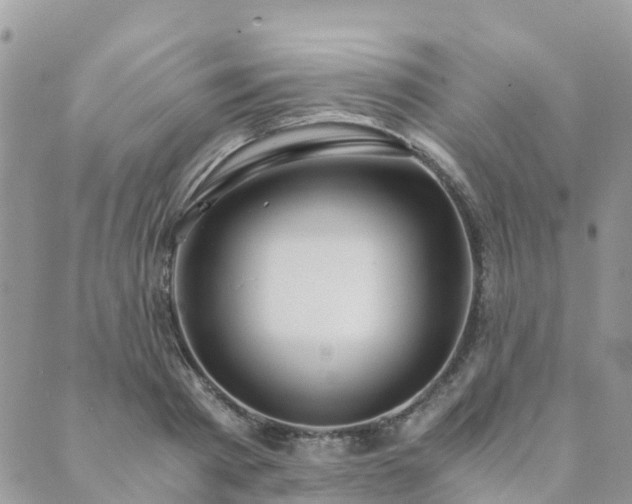 X0000089930793200706291156