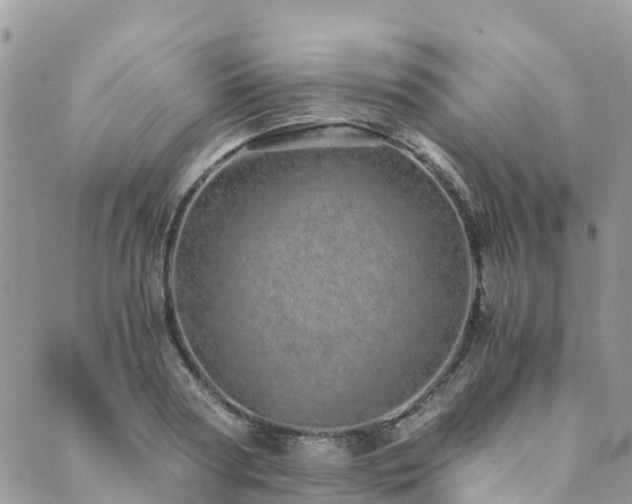 X0000089930794200706291156