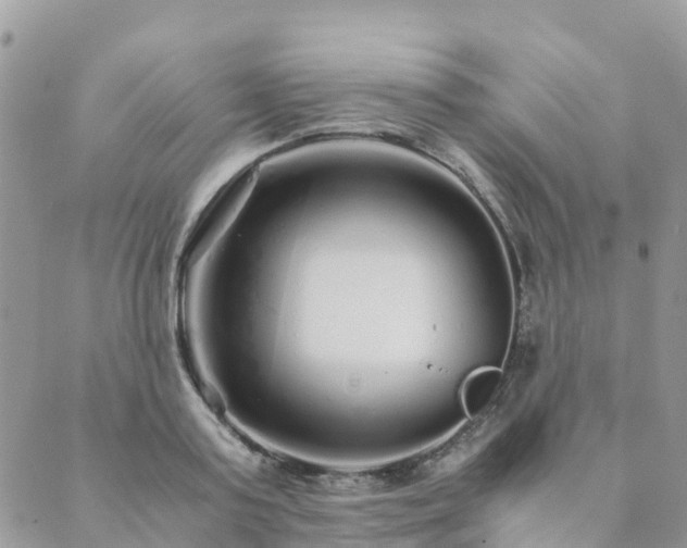 X0000089930795200706291156