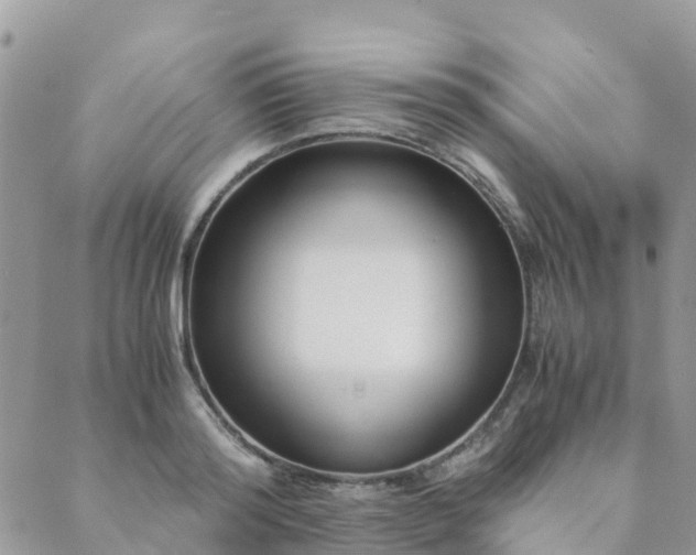 X0000089930796200706291156