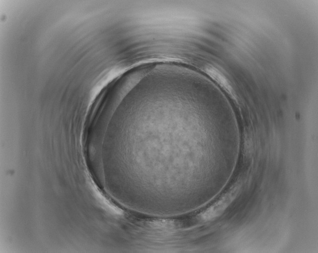 X0000089930797200706291156