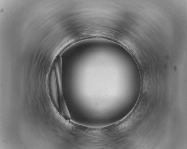 X0000089930798200706291156