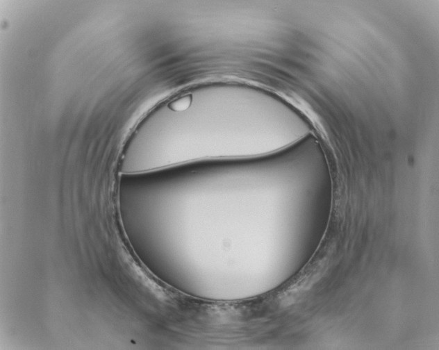 X0000089930799200706291156