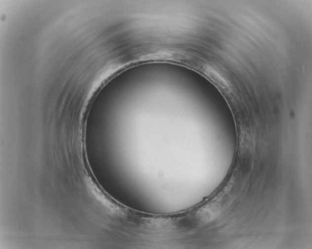 X0000089930800200706291156