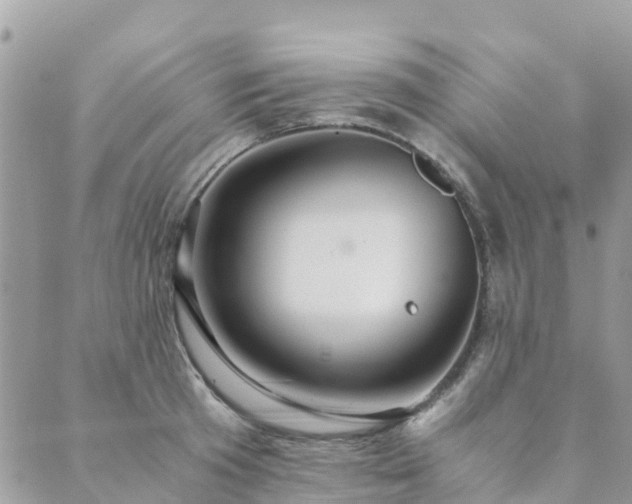 X0000089930801200706291156