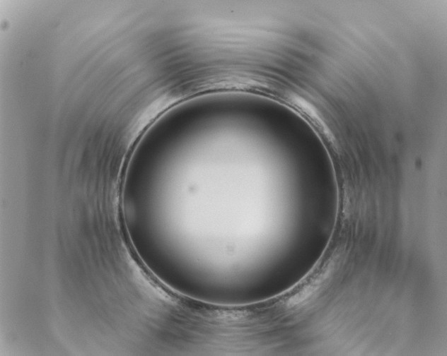 X0000089930802200706291156