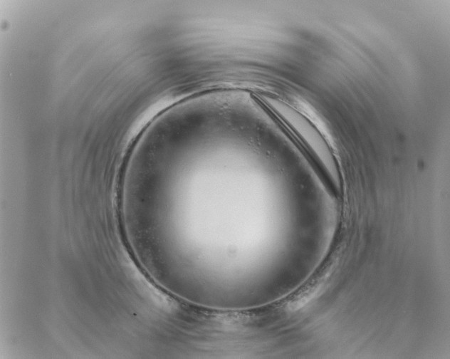 X0000089930803200706291156