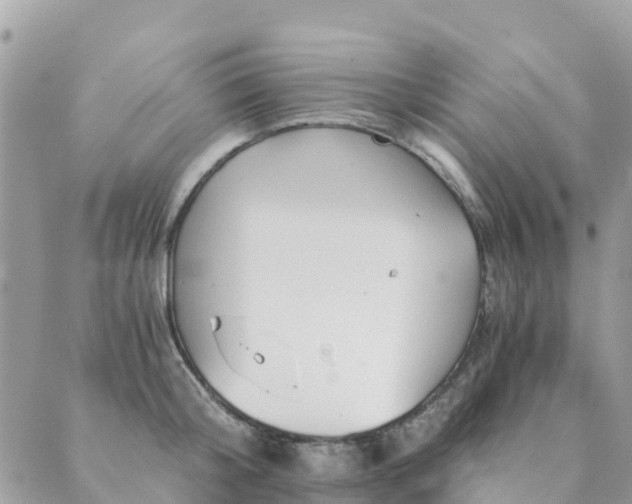 X0000089930804200706291156