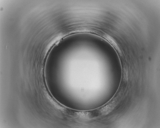 X0000089930805200706291156