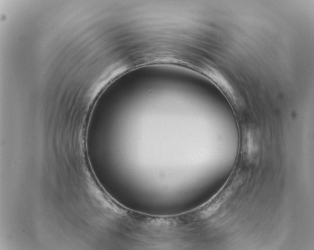 X0000089930806200706291156