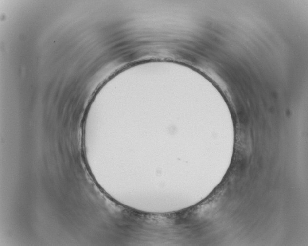 X0000089930807200706291156