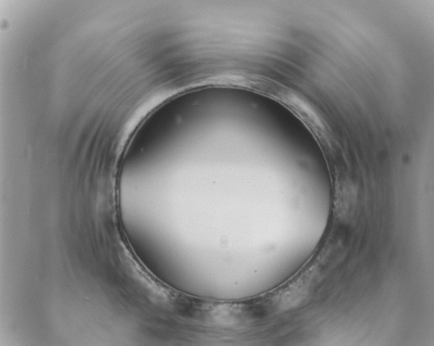 X0000089930808200706291156