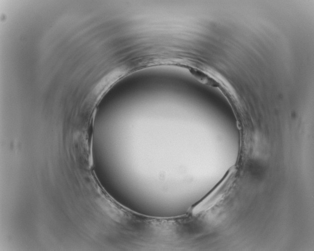 X0000089930809200706291156