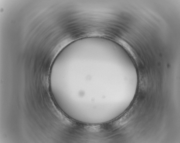 X0000089930810200706291156