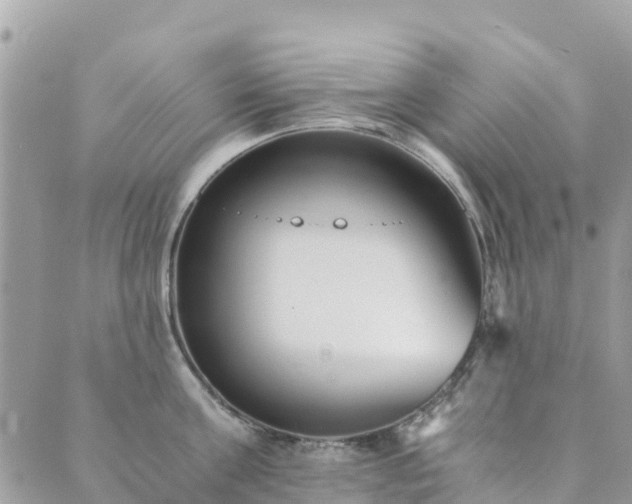 X0000089930811200706291156