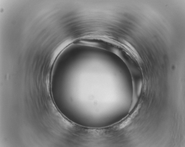 X0000089930812200706291156