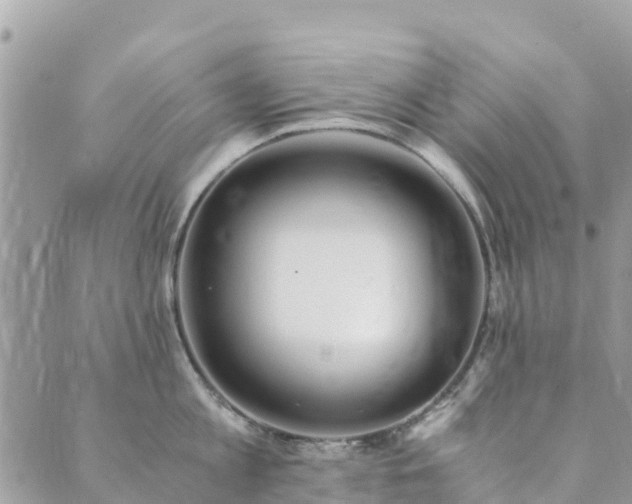 X0000089930813200706291156