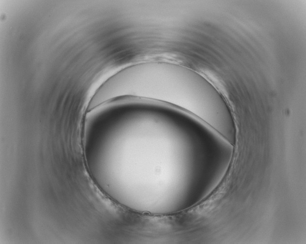 X0000089930816200706291156