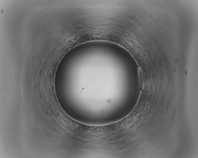 X0000089930817200706291155