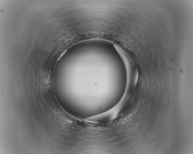 X0000089930818200706291155