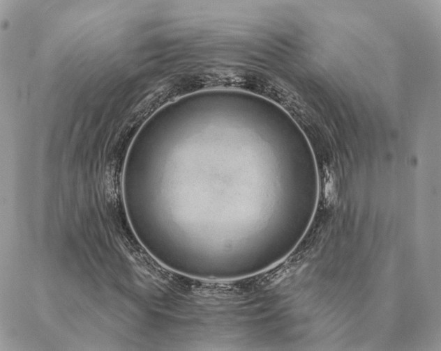 X0000089930819200706291155