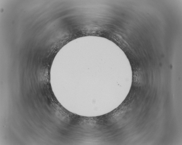 X0000089930820200706291155