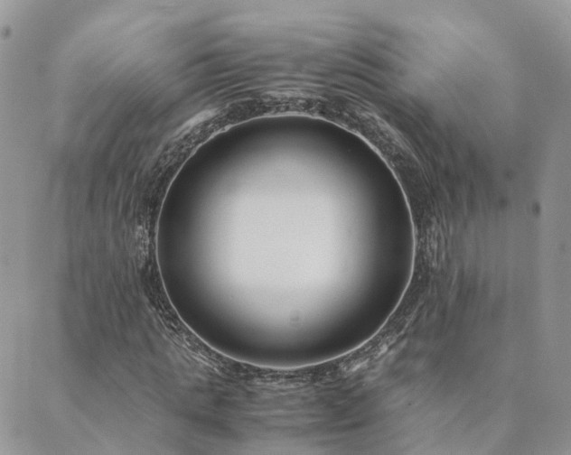 X0000089930821200706291155