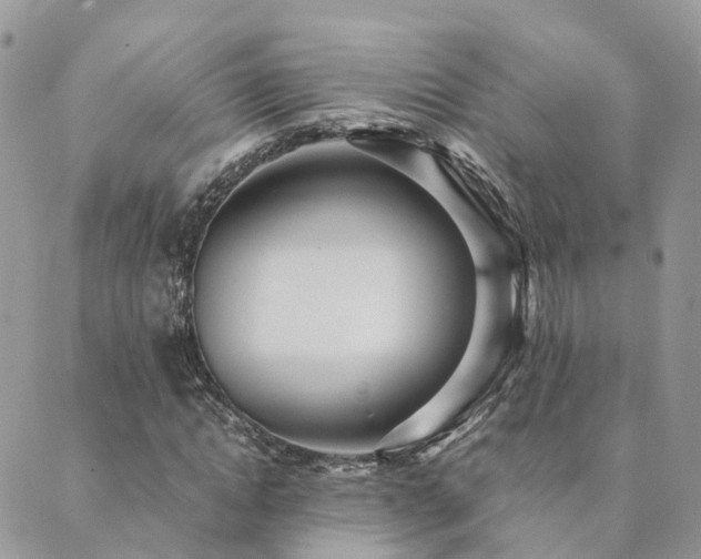 X0000089930822200706291155