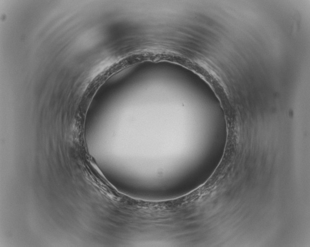 X0000089930823200706291155