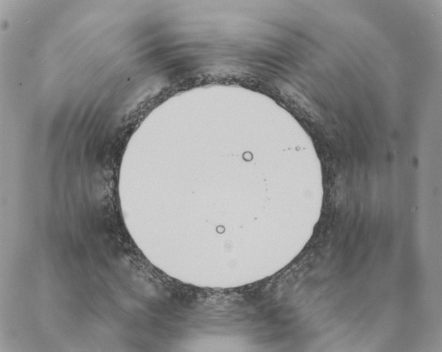 X0000089930824200706291155