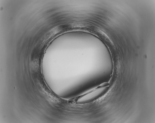 X0000089930825200706291155