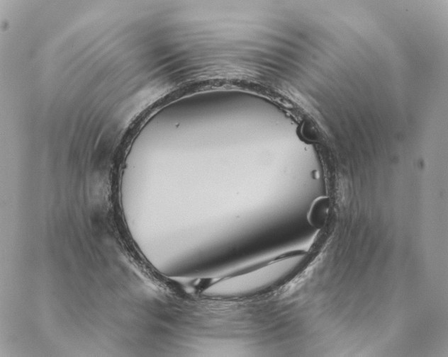 X0000089930826200706291155