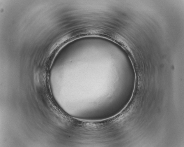 X0000089930827200706291155