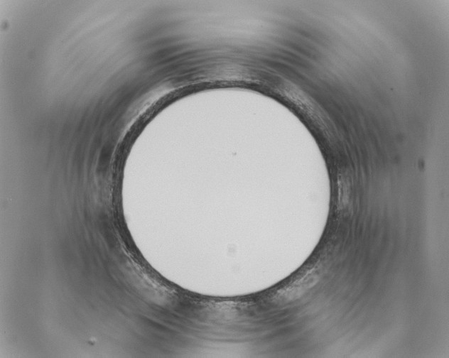 X0000089930828200706291155